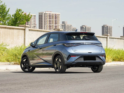 BYD Dolphin Фото №6